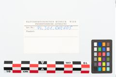 Etikett zu Eisenkonvolut (NHMW-PRAE-094301)